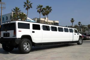 Limousine Insurance in Red Bud, Illinois